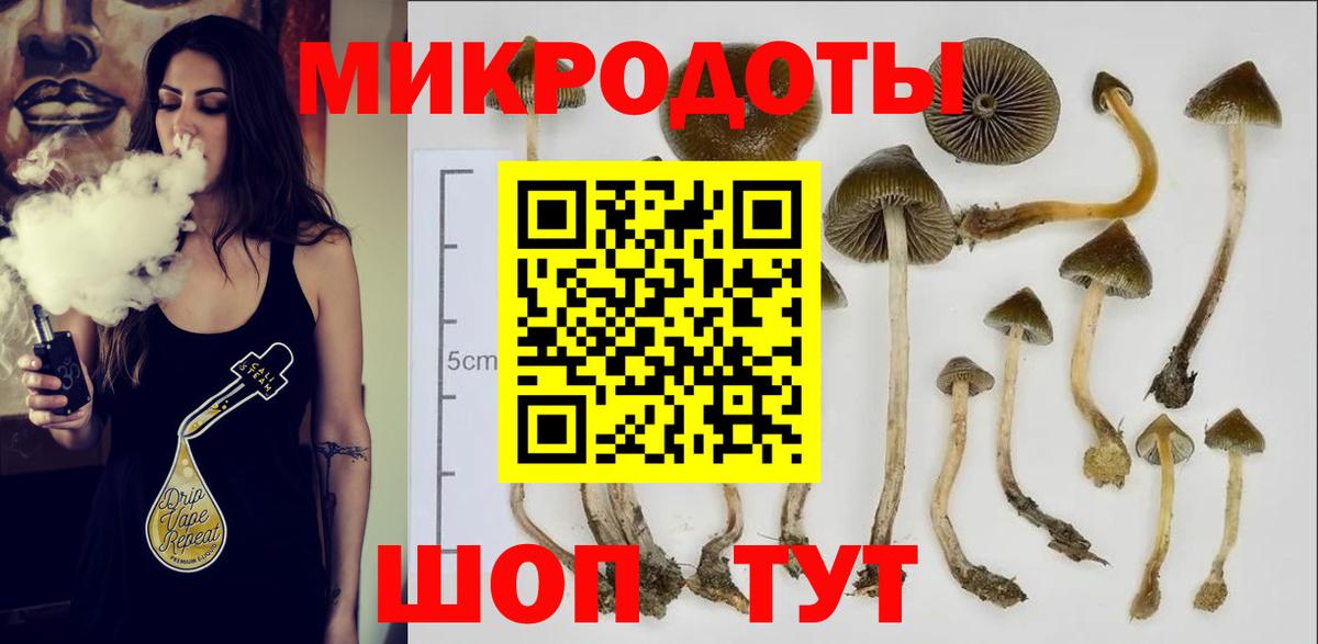 Кизляр  Галлюциногенные грибы мухоморы  Вход с VPN 